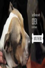 Watch Last Minutes with ODEN 2KMovies