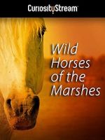 Watch Wild Horses of the Marshes 2KMovies