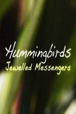 Watch Hummingbirds Jewelled Messengers 2KMovies
