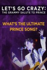 Watch Let\'s Go Crazy: The Grammy Salute to Prince 2KMovies