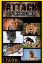 Watch National Geographic Attack Of The Big Cats 2KMovies