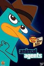 Watch Phineas And Ferb Animal Agents 2KMovies