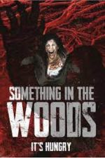 Watch Something in the Woods 2KMovies