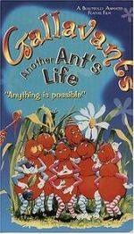 Watch Gallavants 2KMovies