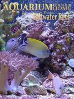 Watch Aquarium for Your Home: Saltwater Reef 2KMovies