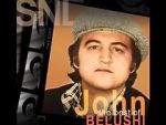 Watch Saturday Night Live: The Best of John Belushi 2KMovies