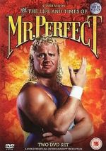 Watch The Life and Times of Mr. Perfect 2KMovies