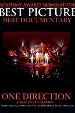 Watch One Direction - A Year In The Making 2KMovies