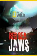 Watch National Geographic Red Sea Jaws 2KMovies