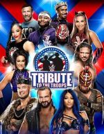 Watch WWE Tribute to the Troops 2KMovies