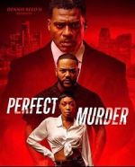 Watch Perfect Murder 2KMovies