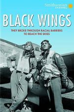 Watch Black Wings 2KMovies
