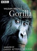 Watch Gorilla Revisited with David Attenborough 2KMovies