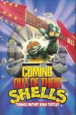 Watch Teenage Mutant Ninja Turtles: Coming Out of Their Shells Tour 2KMovies