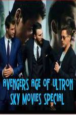 Watch Avengers Age of Ultron Sky Movies Special 2KMovies