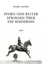 Watch Pferd und Reiter Springen ber ein Hindernis 2KMovies