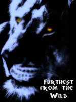 Watch Furthest from the Wild 2KMovies