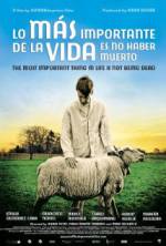 Watch The Most Important Thing in Life Is Not Being Dead 2KMovies