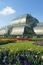 Watch Cruickshank on Kew: The Garden That Changed the World 2KMovies