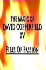 Watch The Magic of David Copperfield XV Fires of Passion 2KMovies