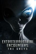 Watch Extraterrestrial Encounters: The Greys 2KMovies