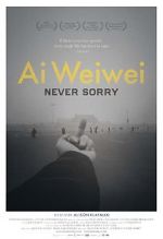 Watch Ai Weiwei: Never Sorry 2KMovies