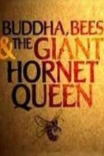 Watch Natural World Buddha Bees and the Giant Hornet Queen 2KMovies