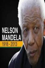 Watch Nelson Mandela: The Final Chapter 2KMovies