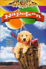 Watch Napoleon 2KMovies