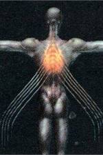 Watch Tool Salival 2KMovies