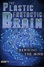 Watch The Plastic Fantastic Brain 2KMovies
