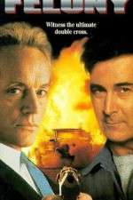 Watch Felony 2KMovies