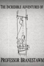 Watch The Incredible Adventures of Professor Branestawm 2KMovies