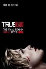 Watch True Blood 2KMovies