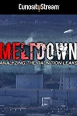 Watch Meltdown: Analyzing the Radiation Leaks 2KMovies