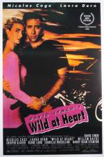 Watch Wild at Heart 2KMovies