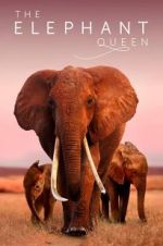 Watch The Elephant Queen 2KMovies