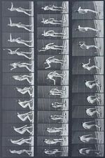 Watch Woman Throwing Baseball 2KMovies