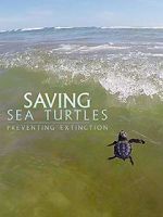 Watch Saving Sea Turtles: Preventing Extinction 2KMovies