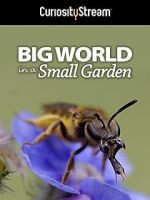 Watch Big World in a Small Garden (TV Short 2016) 2KMovies