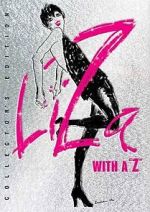 Watch Liza with a Z (TV Special 1972) 2KMovies