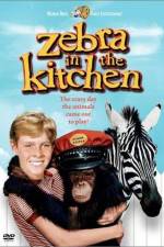 Watch Zebra in the Kitchen 2KMovies