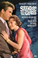 Watch Splendor in the Grass 2KMovies