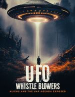 Watch UFO Whistleblowers: Aliens and the UAP Enigma Exposed 2KMovies