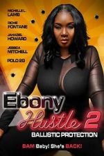 Watch Ebony Hustle 2: Ballistic Protection 2KMovies