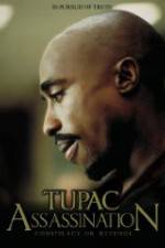 Watch Assassination: Conspiracy or Revenge 2KMovies