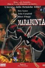 Watch Legion of Fire: Killer Ants! 2KMovies