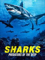 Watch Sharks: Predators of the Deep 2KMovies