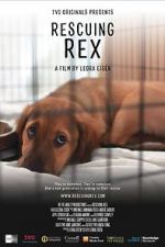 Watch Rescuing Rex 2KMovies