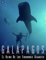 Watch Galapagos: Realm of Giant Sharks 2KMovies